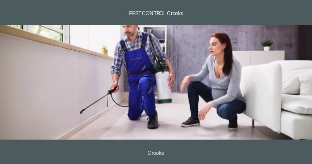 PEST CONTROL Crooks